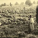 酒店 Schaeferhof 施内沃丁根
