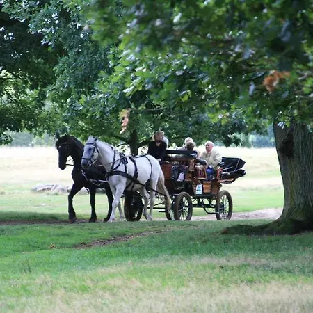 Hotel Schaeferhof 3*