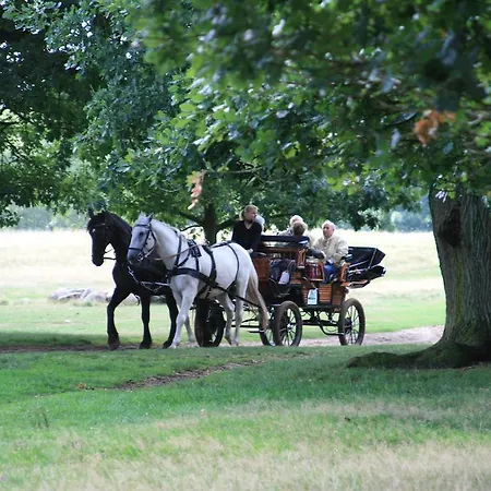 Schaeferhof Schneverdingen
