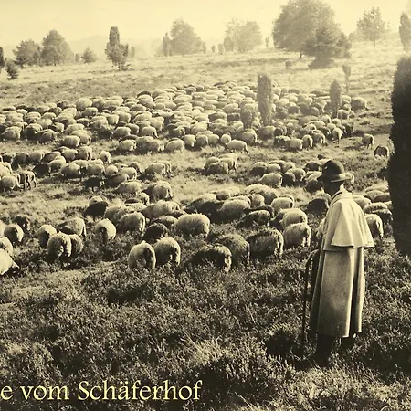 מלון Schaeferhof שנברדינגן